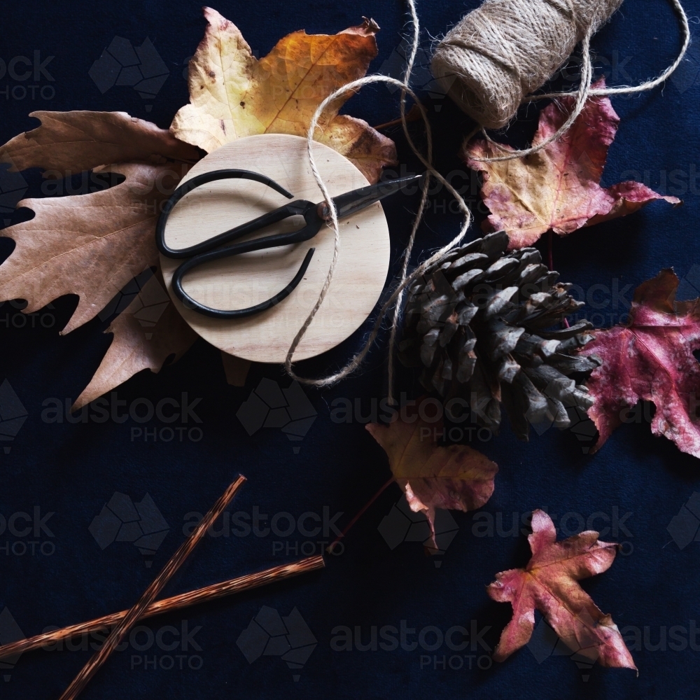 Collection of autumn inspirational objects on dark navy background - Australian Stock Image