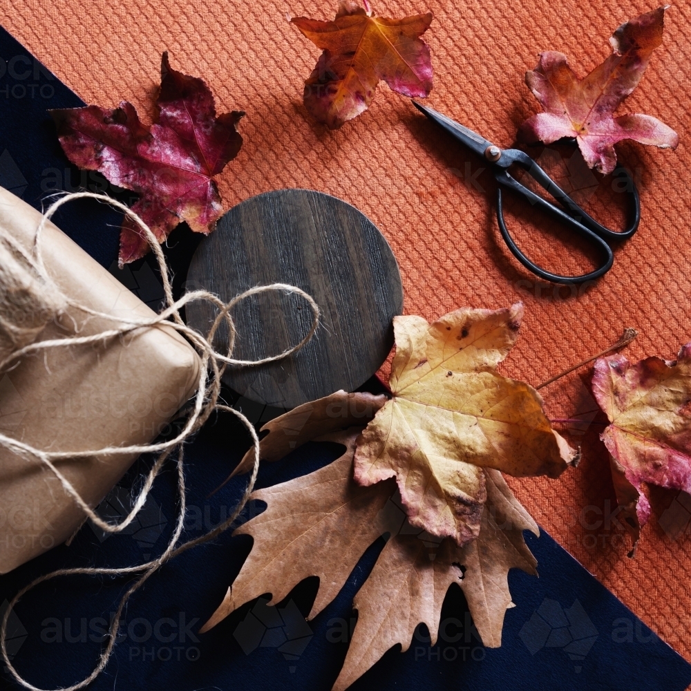 Collection of autumn objects in a styled flat lay scheme - Australian Stock Image