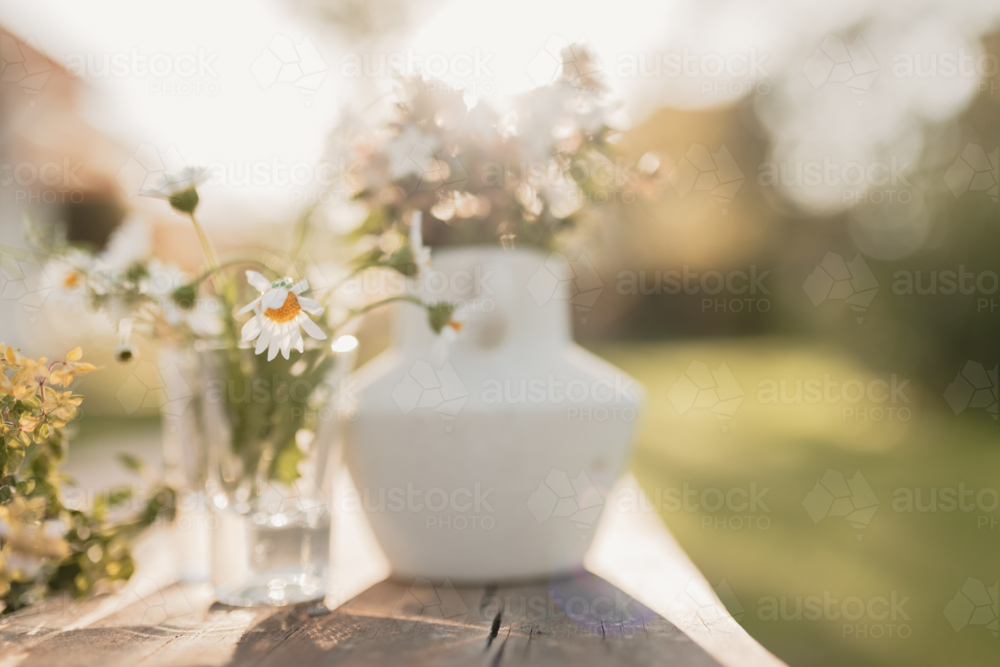Collection of white flowers natural outdoor garden setting - Australian Stock Image