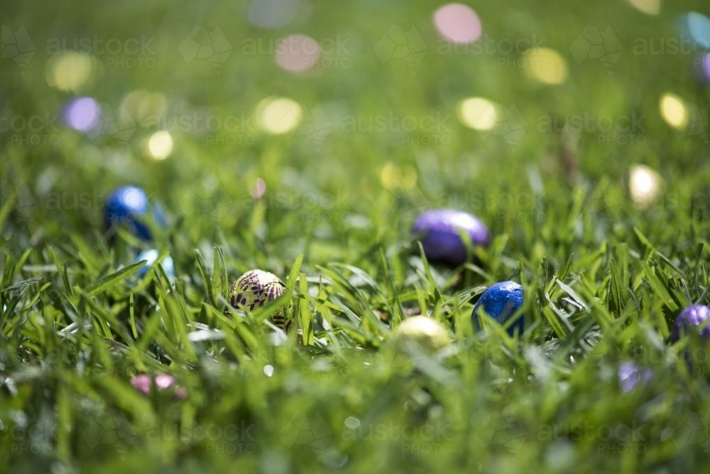 Coloured foil easter eggs in grass - Australian Stock Image