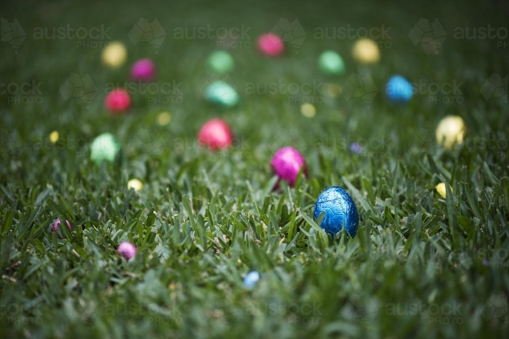 Coloured foil easter eggs in grass - Australian Stock Image
