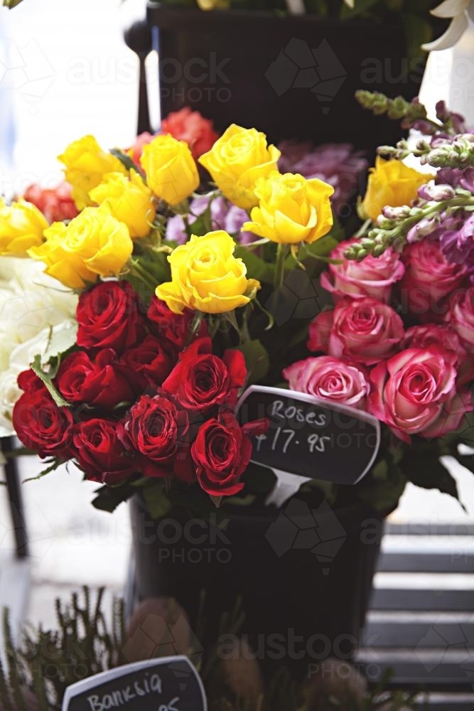 Colourful bouquets of roses for sale at florist - Australian Stock Image
