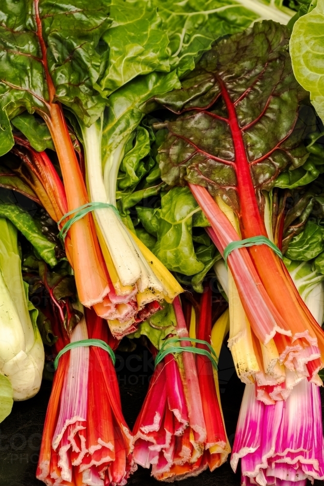 Colourful chard at farmer's market - Australian Stock Image