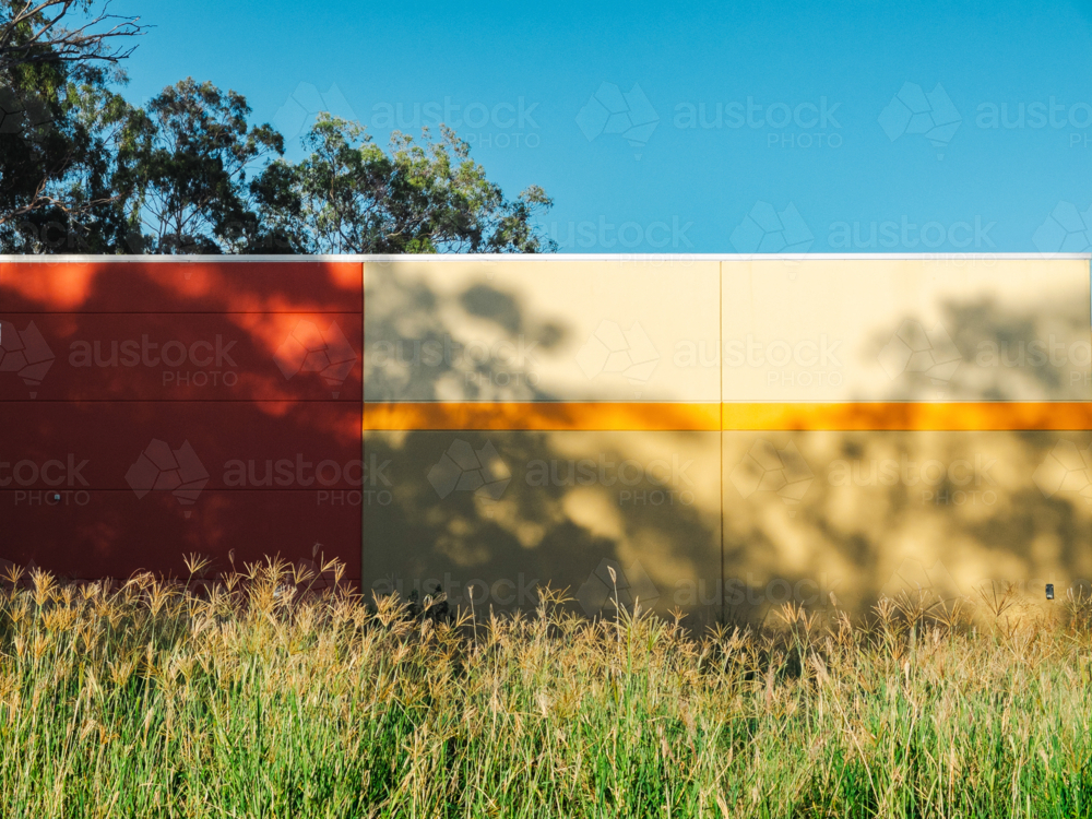 Colourful modern wall with grass and tree shadows - Australian Stock Image