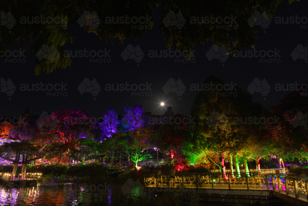 Colourful night‑time garden scene illuminated by vibrant lights with reflections on calm water - Australian Stock Image