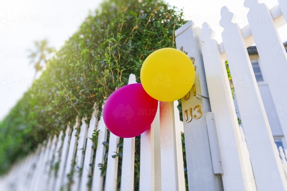 Colourful party ballons on white picket fence - Australian Stock Image