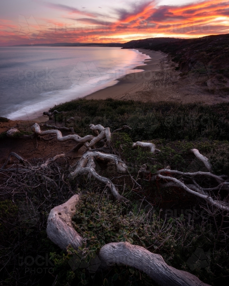 Colourful Sunset on the Great Ocean Road - Australian Stock Image