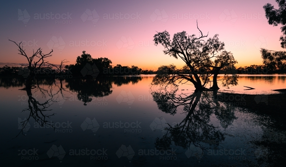Colourful sunset scene over an inland lagoon with silhouetted trees and mirror reflections. - Australian Stock Image