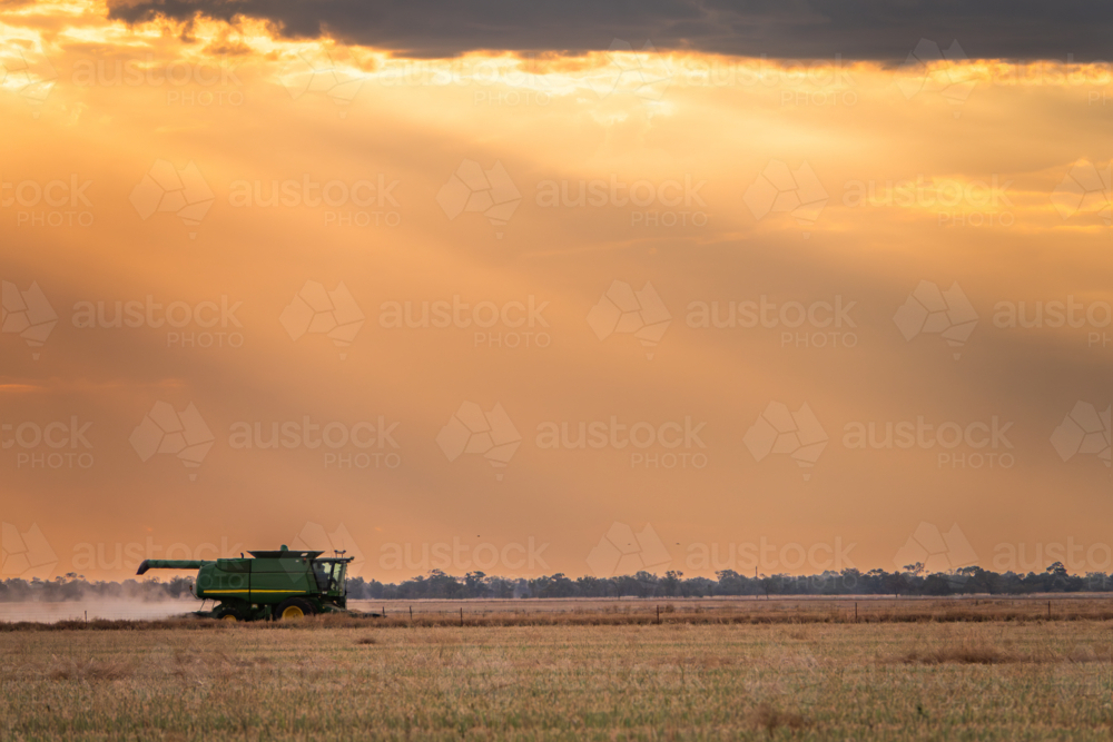Combine harvester moving through the crops leaving dusts at sunset on farm - Australian Stock Image