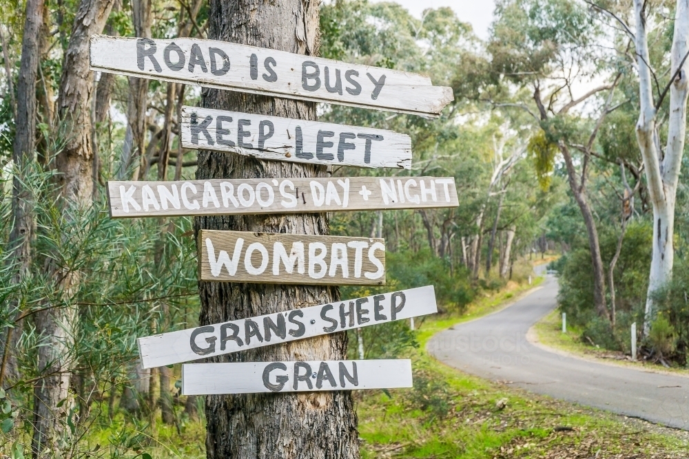 Comical hand painted signs nailed to a tree beside a country road - Australian Stock Image