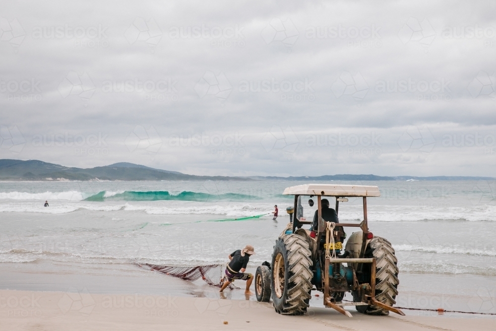 Commercial Australian salmon fishing, hauling in the nets by hand and with a tractor on the beach - Australian Stock Image