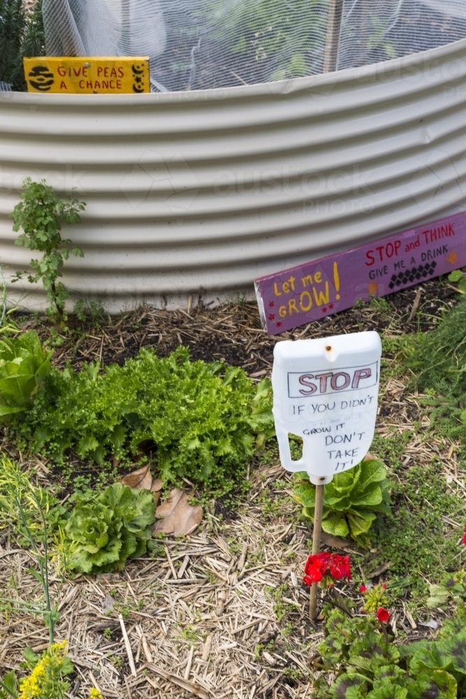 Community veggie garden plot signs - Australian Stock Image
