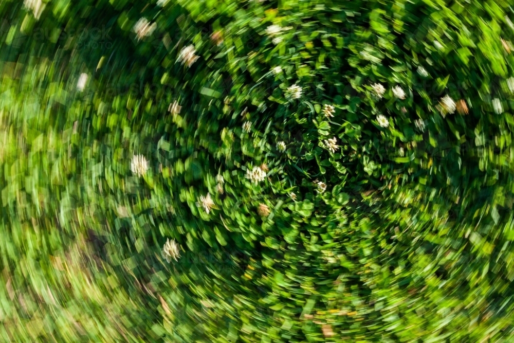 Concept - vertigo, imbalance, dizziness. Spinning photo of clover on lawn - Australian Stock Image