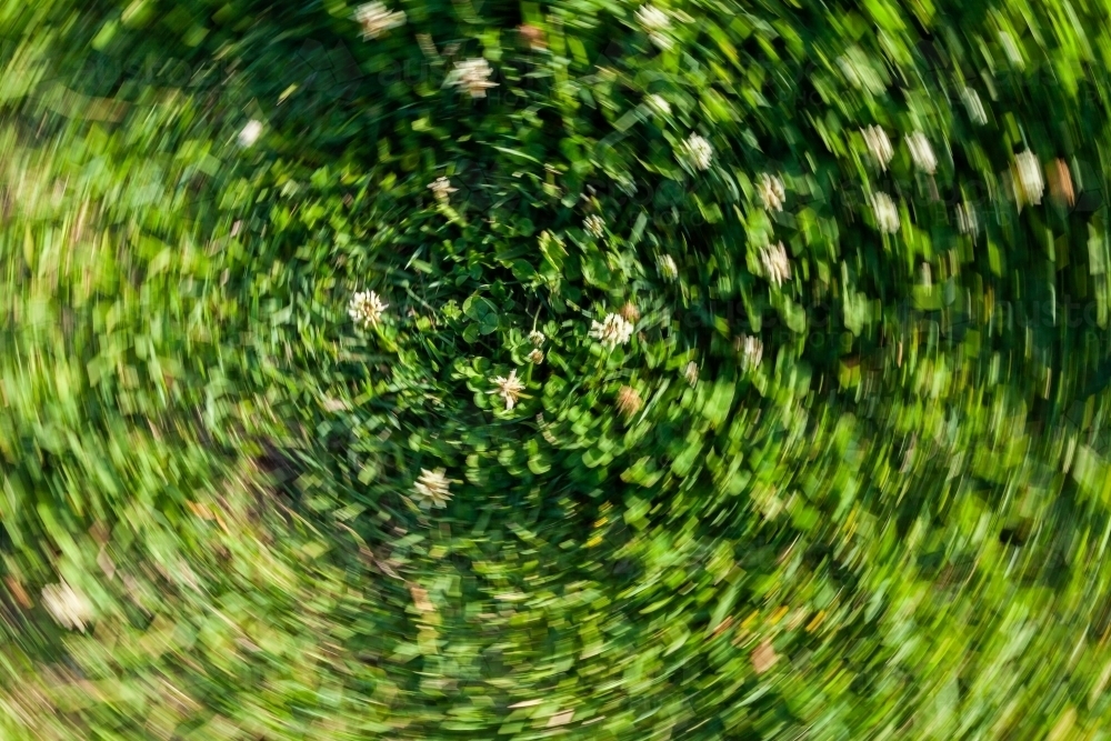 Concept - vertigo, imbalance, dizziness. Spinning photo of clover on lawn - Australian Stock Image