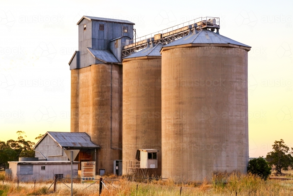 Concrete silos at dawn in rural NSW. - Australian Stock Image