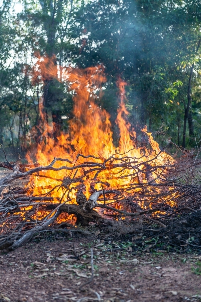 Controlled fire burnoff - Australian Stock Image