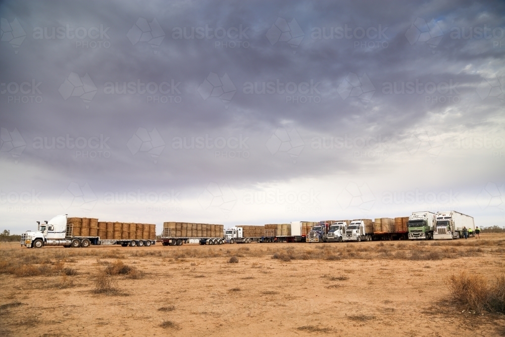 Convoy of trucks delivering hay to drought affected areas. - Australian Stock Image