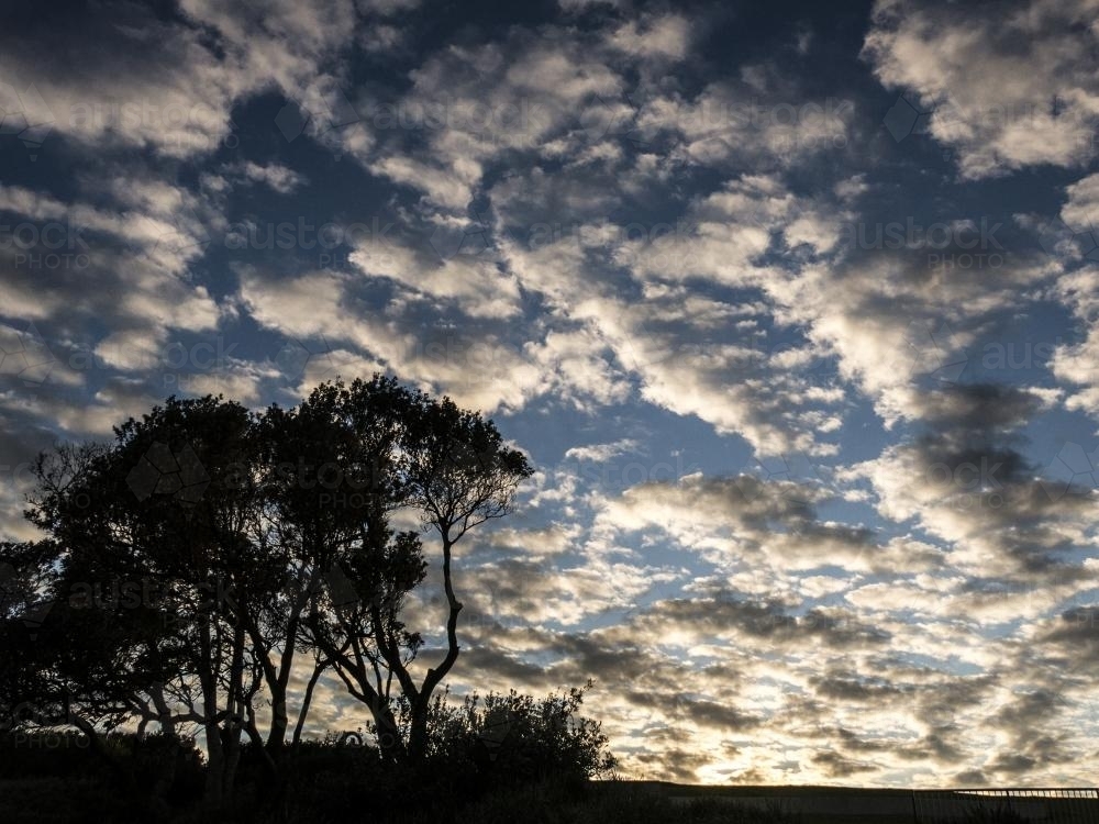 Coogee Clouds - Australian Stock Image