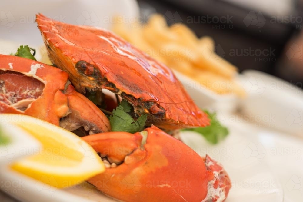 cooked mudcrab - Australian Stock Image