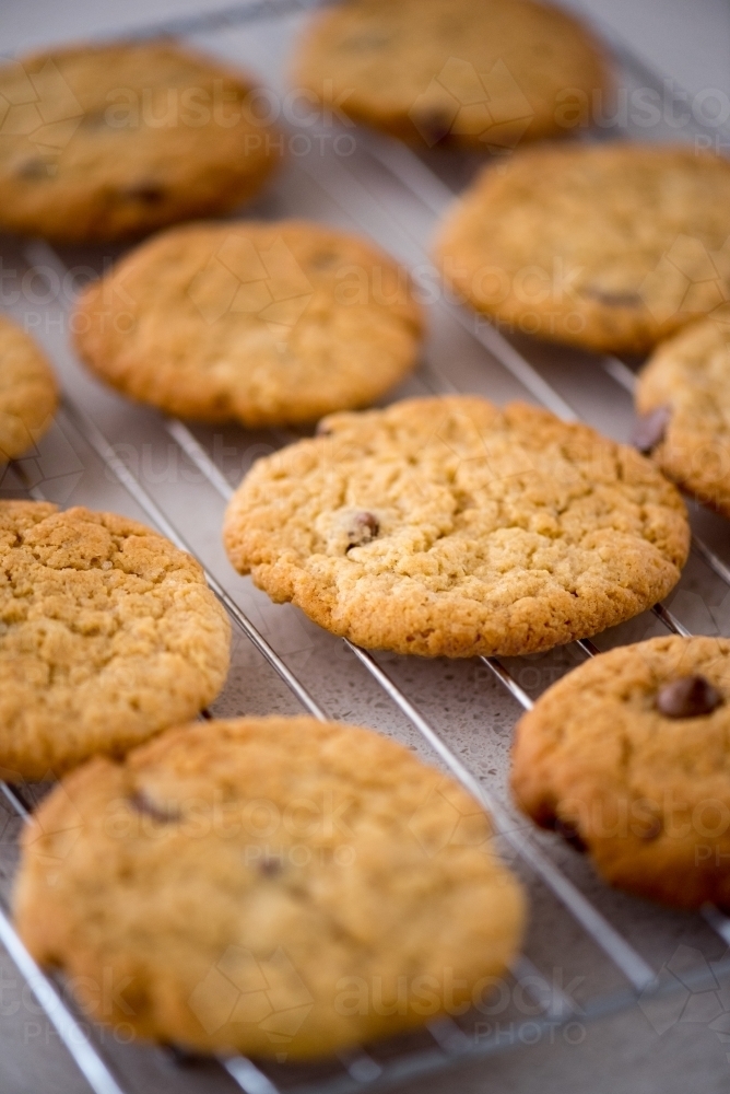 Cookies cooling on a tray - Australian Stock Image