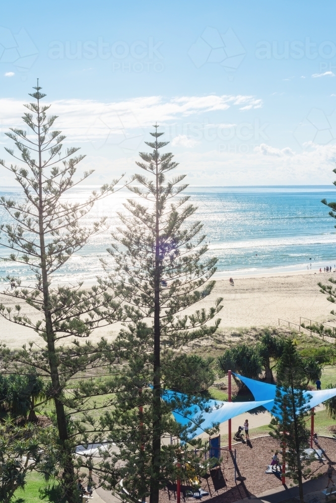 Coolangatta beach with pine trees and parkland - Australian Stock Image