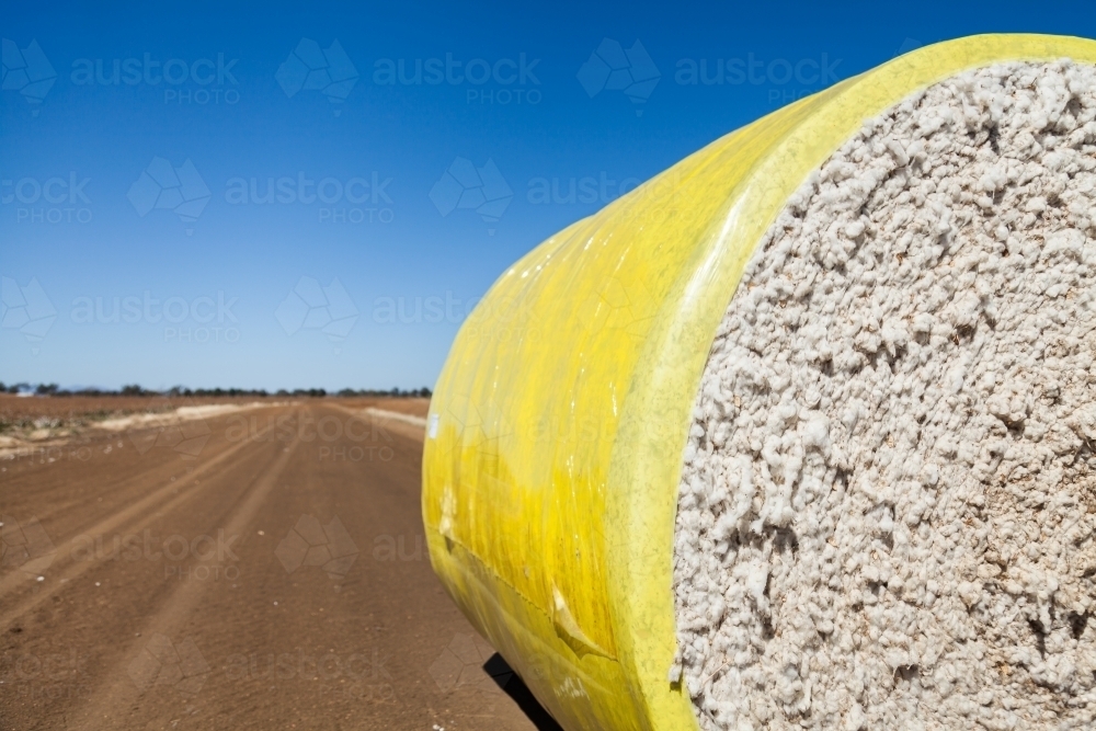 Copy space beside round cotton bale on outback farm - Australian Stock Image