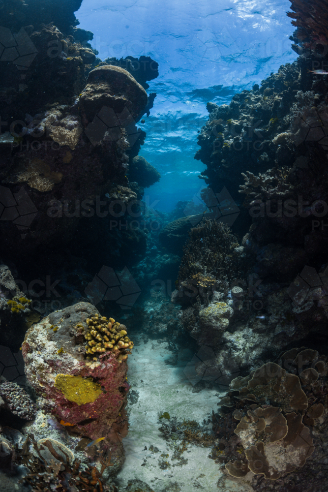 coral reef seascape on the Great Barrier Reef - Australian Stock Image