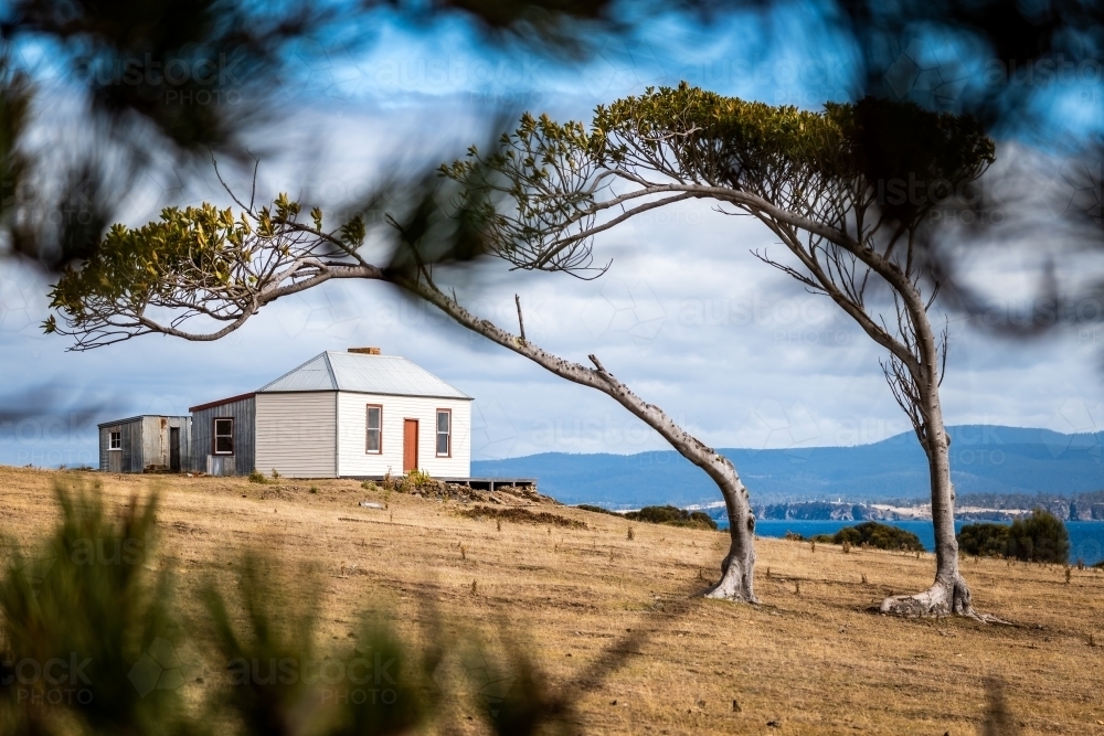 Cottage and windswept trees on Maria Island - Australian Stock Image