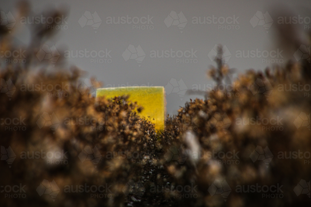 Cotton bale - Australian Stock Image