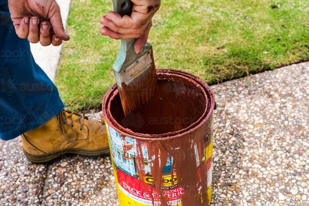 Council worker cleaning paint brush against the rim of the paint tin - Australian Stock Image