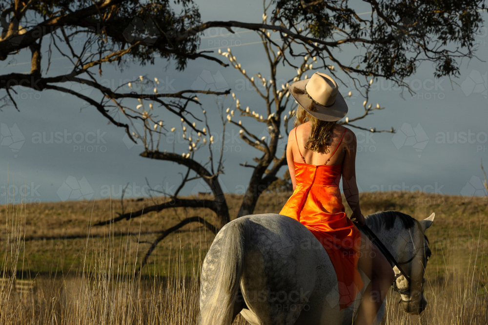 Country Cowgirl - Australian Stock Image