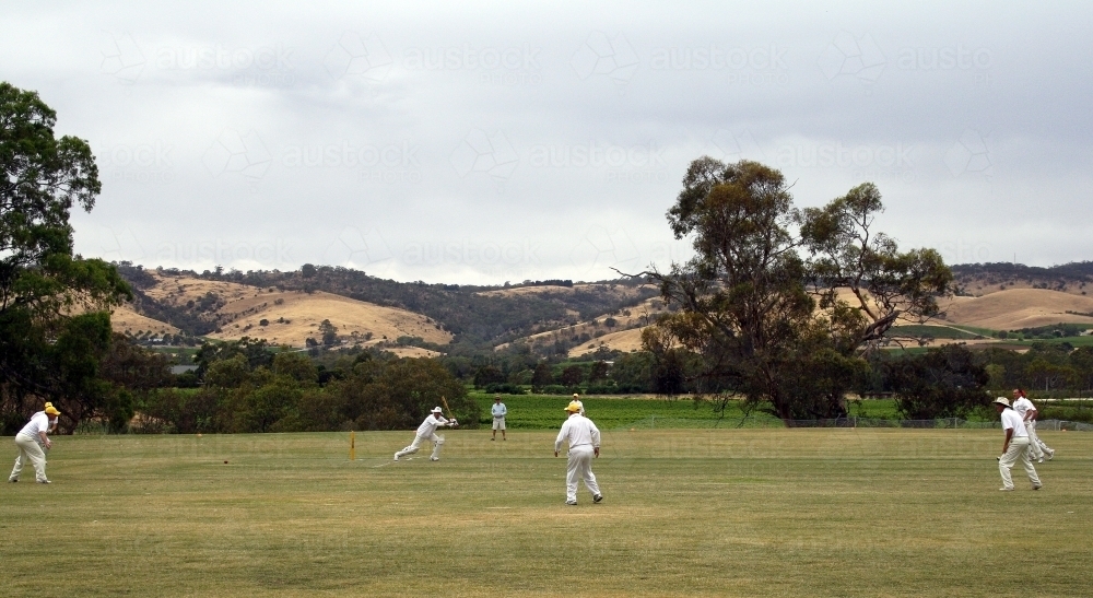 Country cricket match in the Barossa Valley - Australian Stock Image