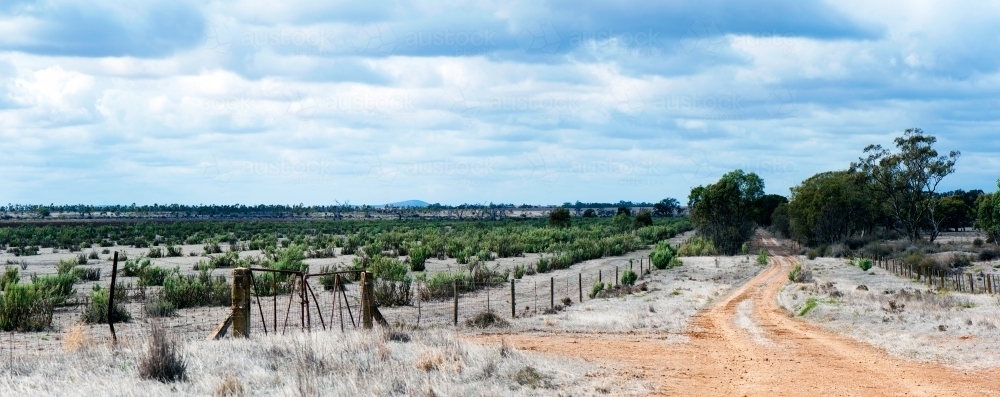 Country dirt roads on a farm - Australian Stock Image