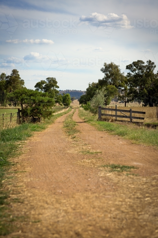 Country road driveway to a farm in NSW - Australian Stock Image