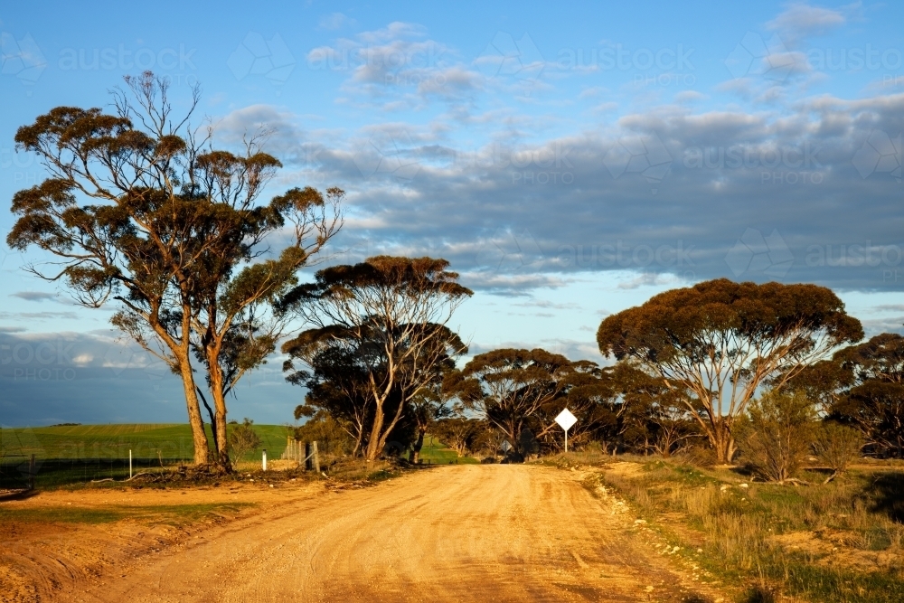 country road in late afternoon light - Australian Stock Image