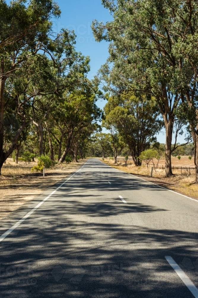 Country road in rural Victoria - Australian Stock Image