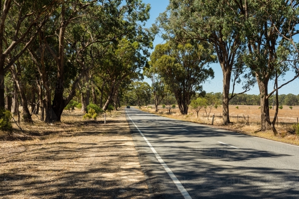 Country road in rural Victoria - Australian Stock Image