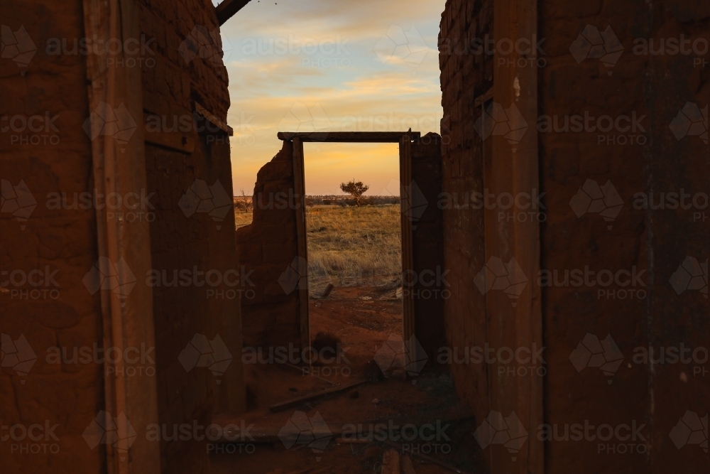 Country scene with lone tree in field framed by ruins of abandoned mud brick house at sunset - Australian Stock Image