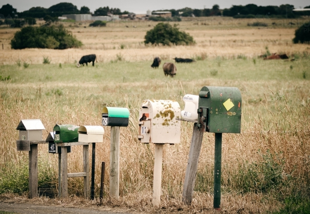 Image of Country style letter boxes in a row beside rural road