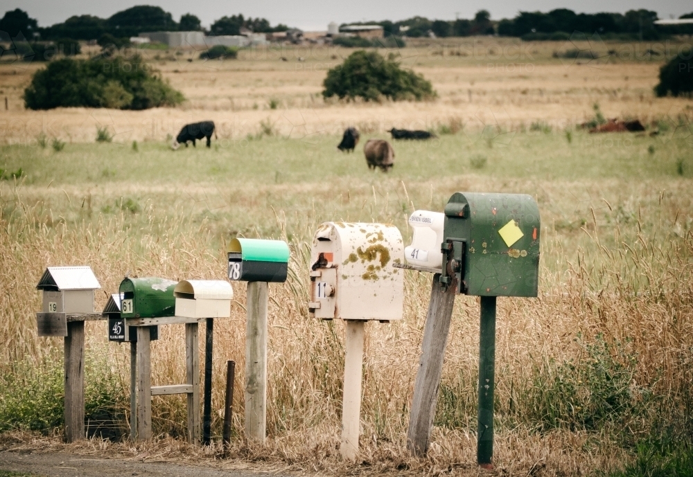 Country style letter boxes in a row beside rural road - Australian Stock Image