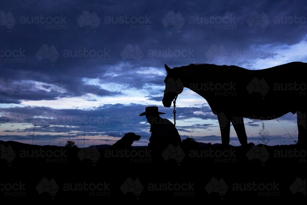 Country woman on farm crouched beside dog and horse silhouette - Australian Stock Image