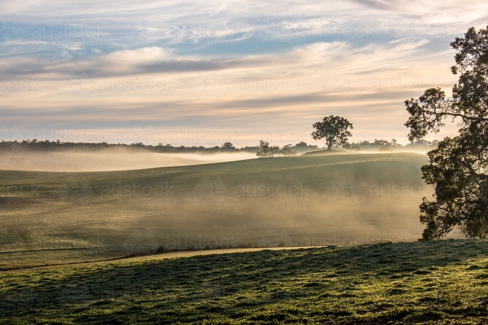 Countryside bathed in mist under wispy white clouds - Australian Stock Image