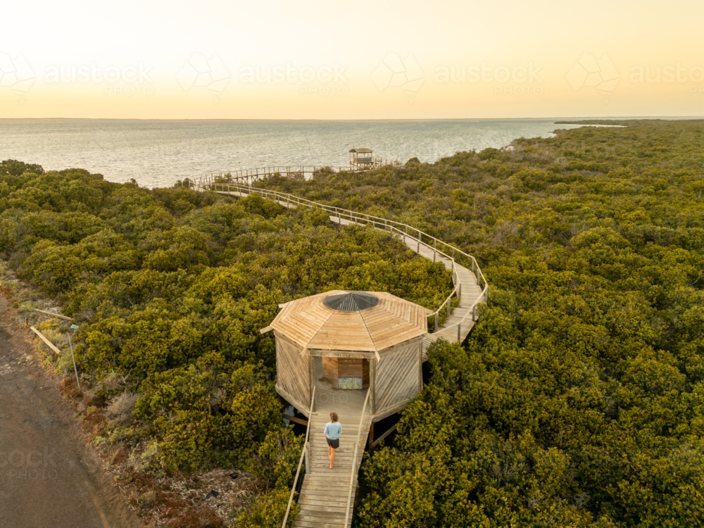 Cowell mangrove boardwalk from above air - Australian Stock Image