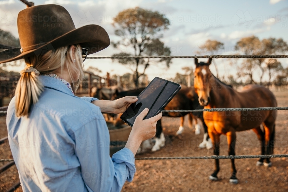 Cowgirl holding iPad looking at horses in a yard - Australian Stock Image