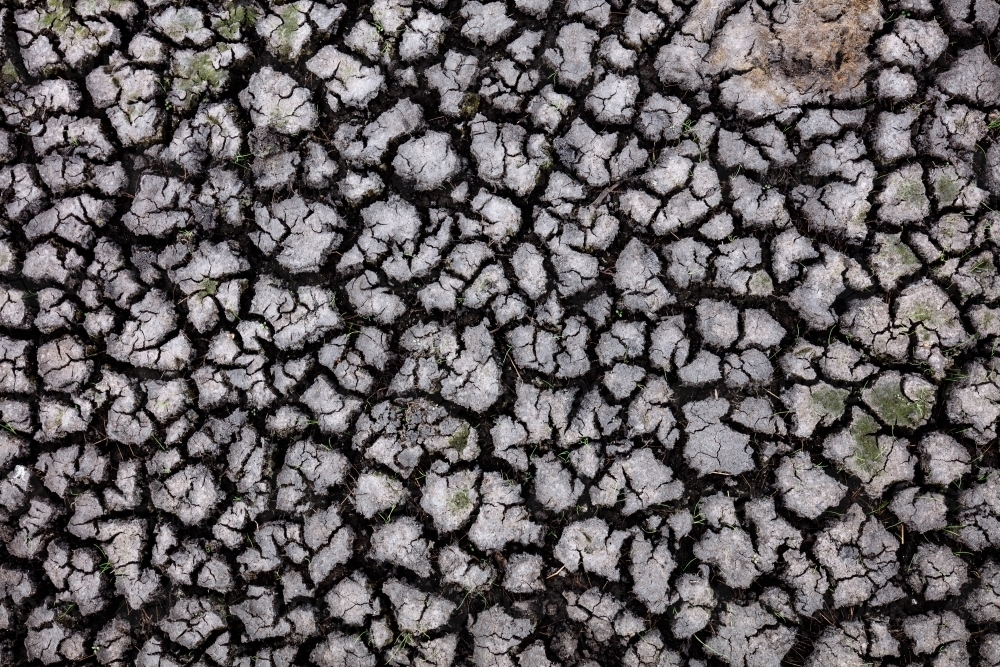 Cracked and dried mud of a wetland area - Australian Stock Image