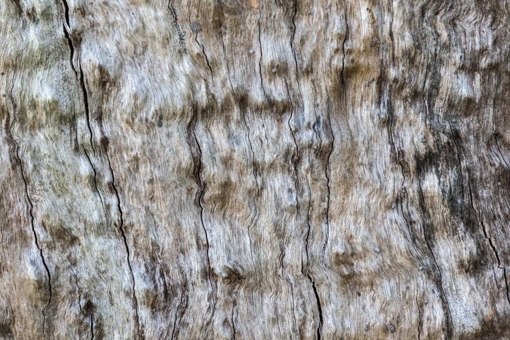 Cracked and weathered timber texture - Australian Stock Image