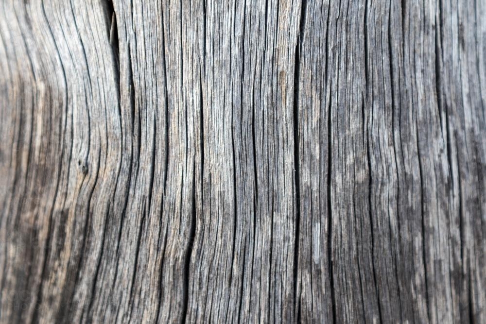 Cracked and weathered timber texture - Australian Stock Image