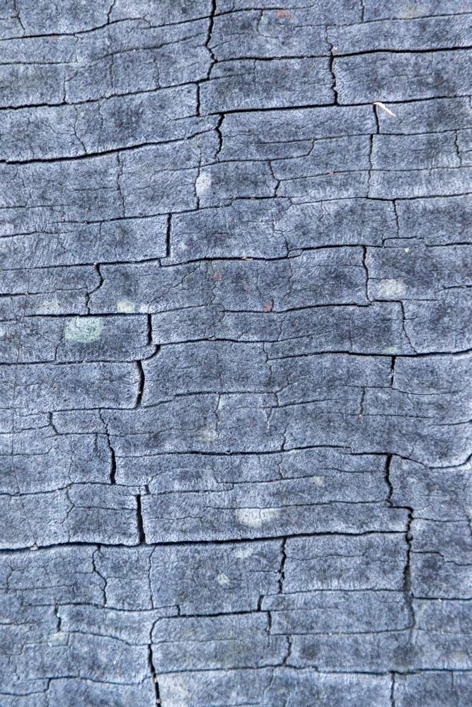 Cracked and weathered timber texture - Australian Stock Image