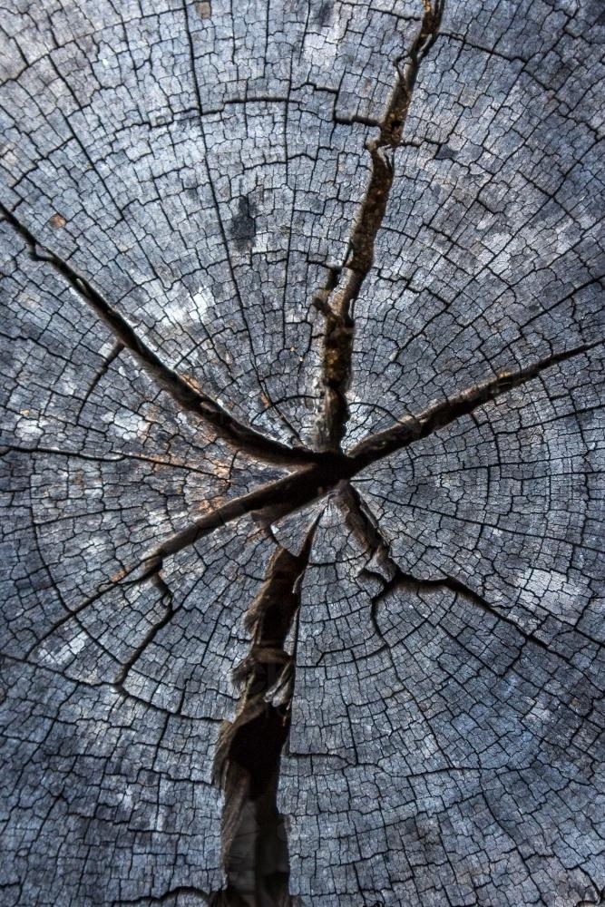 Cracked and weathered timber texture : Austockphoto Cracked and weathered timber texture - Australian Stock Image