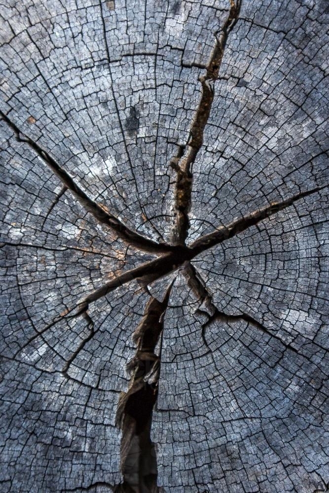 Cracked and weathered timber texture - Australian Stock Image